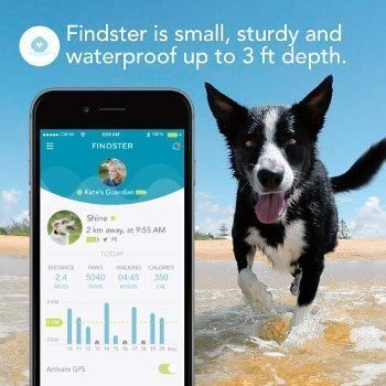 Findster Duo+ Pet Tracker