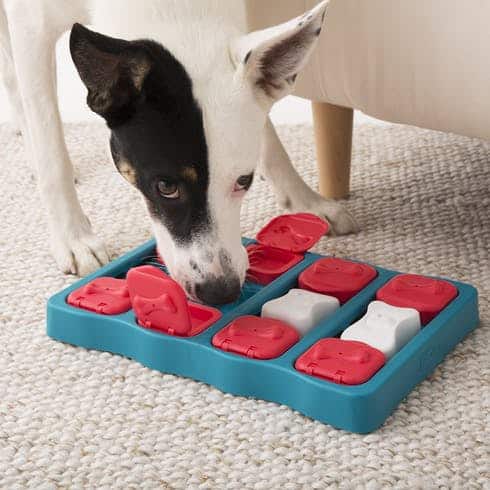 Outward Hound Dog Brick Treat Dispensing Dog Toy Brain