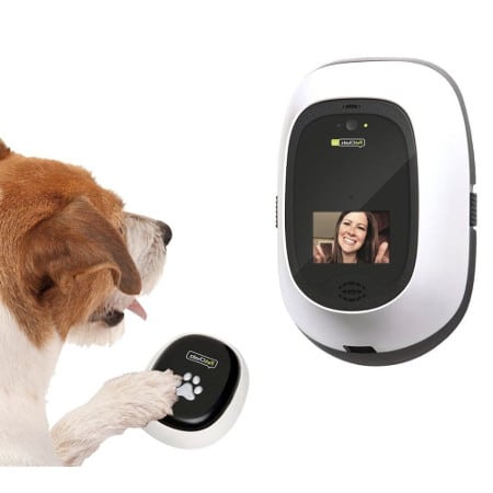 PetChatz HD: Two-Way Premium Audio/HD Video pet Treat Camera 