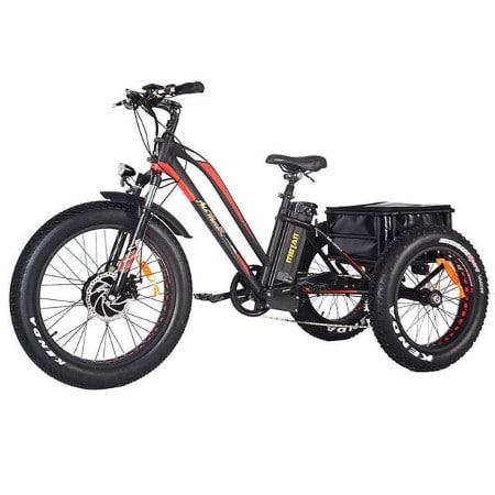 Addmotor Motan Electric Tricycle 