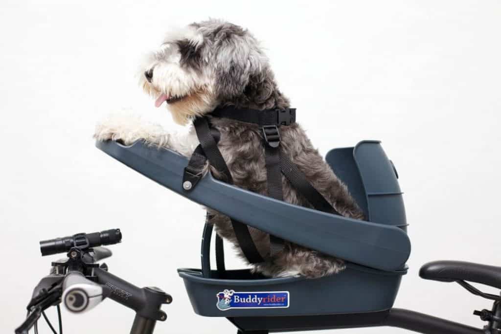 Buddyrider dog seat for e bike